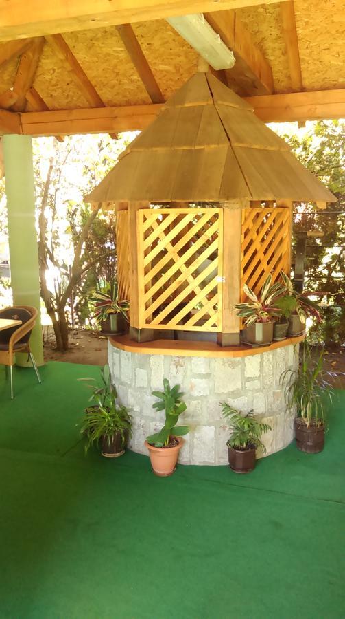 Bed & Breakfast Karavan Raska Bagian luar foto